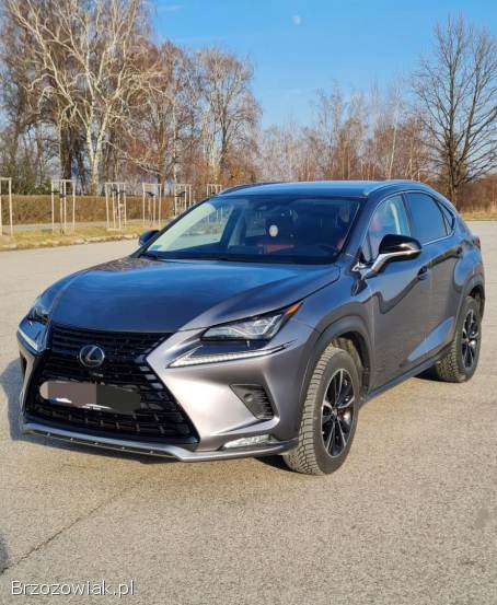 Lexus NX NX 300 2021