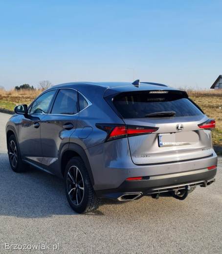 Lexus NX NX 300 2021