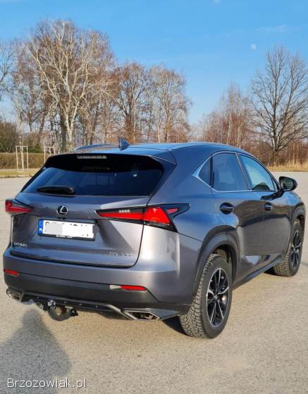 Lexus NX NX 300 2021