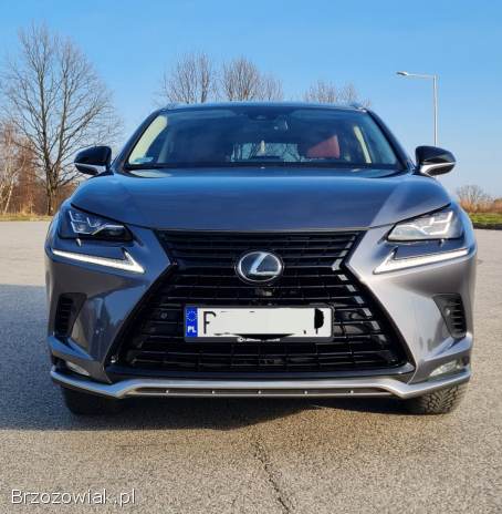 Lexus NX NX 300 2021