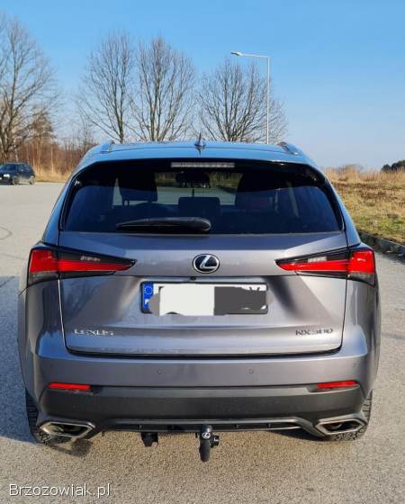 Lexus NX NX 300 2021