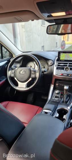 Lexus NX NX 300 2021
