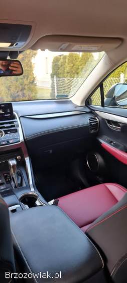 Lexus NX NX 300 2021