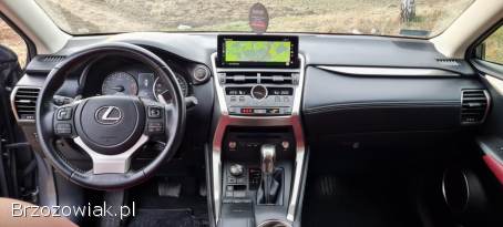 Lexus NX NX 300 2021