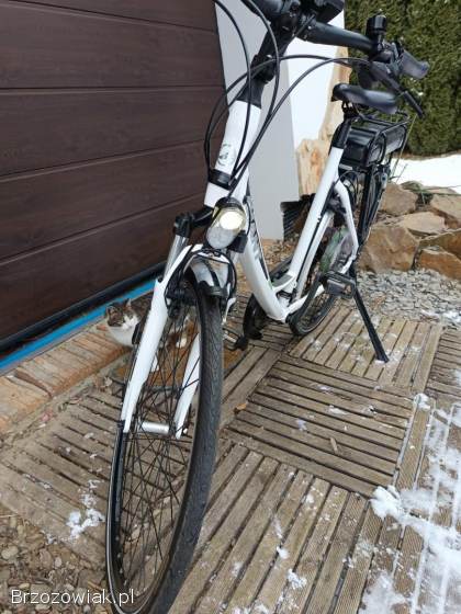 Rower elektryczny holenderski marki Giant