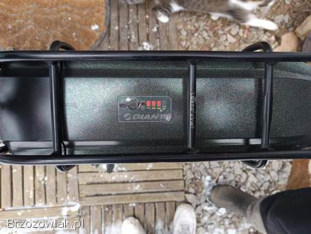 Rower elektryczny holenderski marki Giant