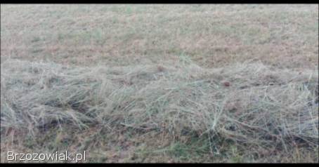 Siano baloty 120×120