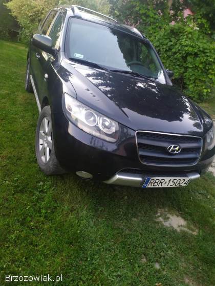 Hyundai Santa Fe 2006