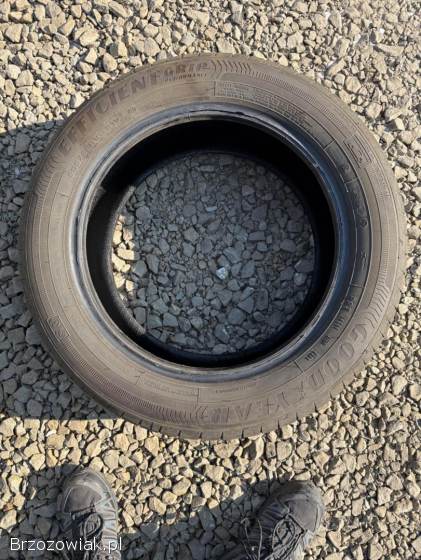 Opony 205/55 R16 91 V AO