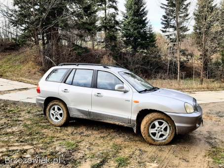 Hyundai Santa Fe 4x4 Crdi 2003