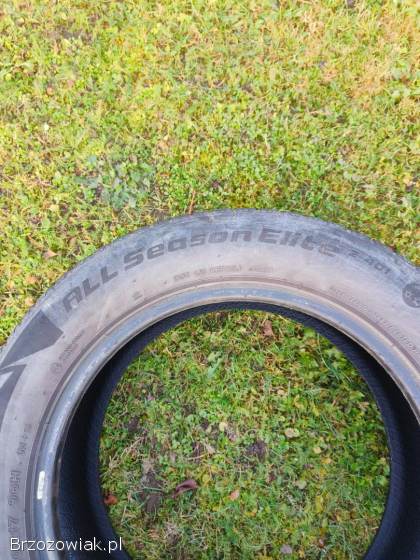 Opony wielosezonowe Goodride Z-401 215/60 R17
