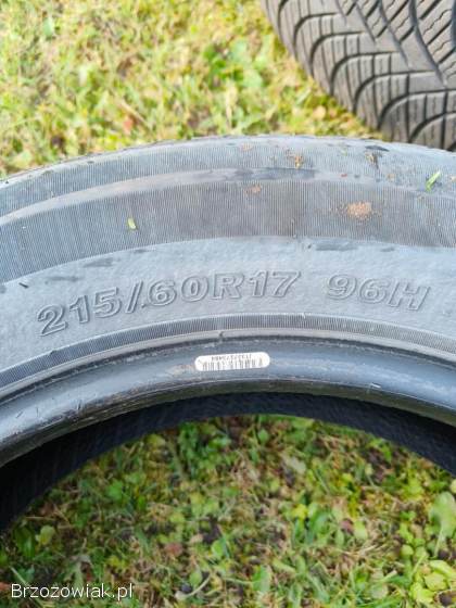 Opony wielosezonowe Goodride Z-401 215/60 R17