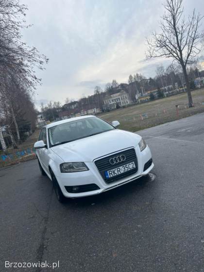 Audi A3 8P 2009