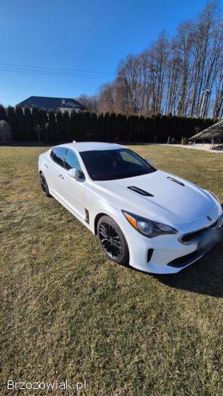 Kia Stinger 2017