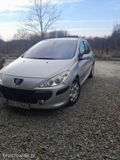 Peugeot 307 2006