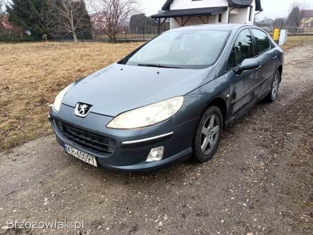 Peugeot 407 2.  0HDI 136km 05r 2005