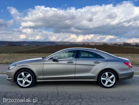 Mercedes-Benz CLS CLS 350 Salon PL 2013