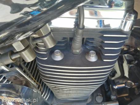 Harley-Davidson Road King FLHRI 1996