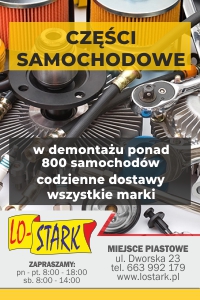 LO-STARK - CZĘŚCI SAMOCHODOWE